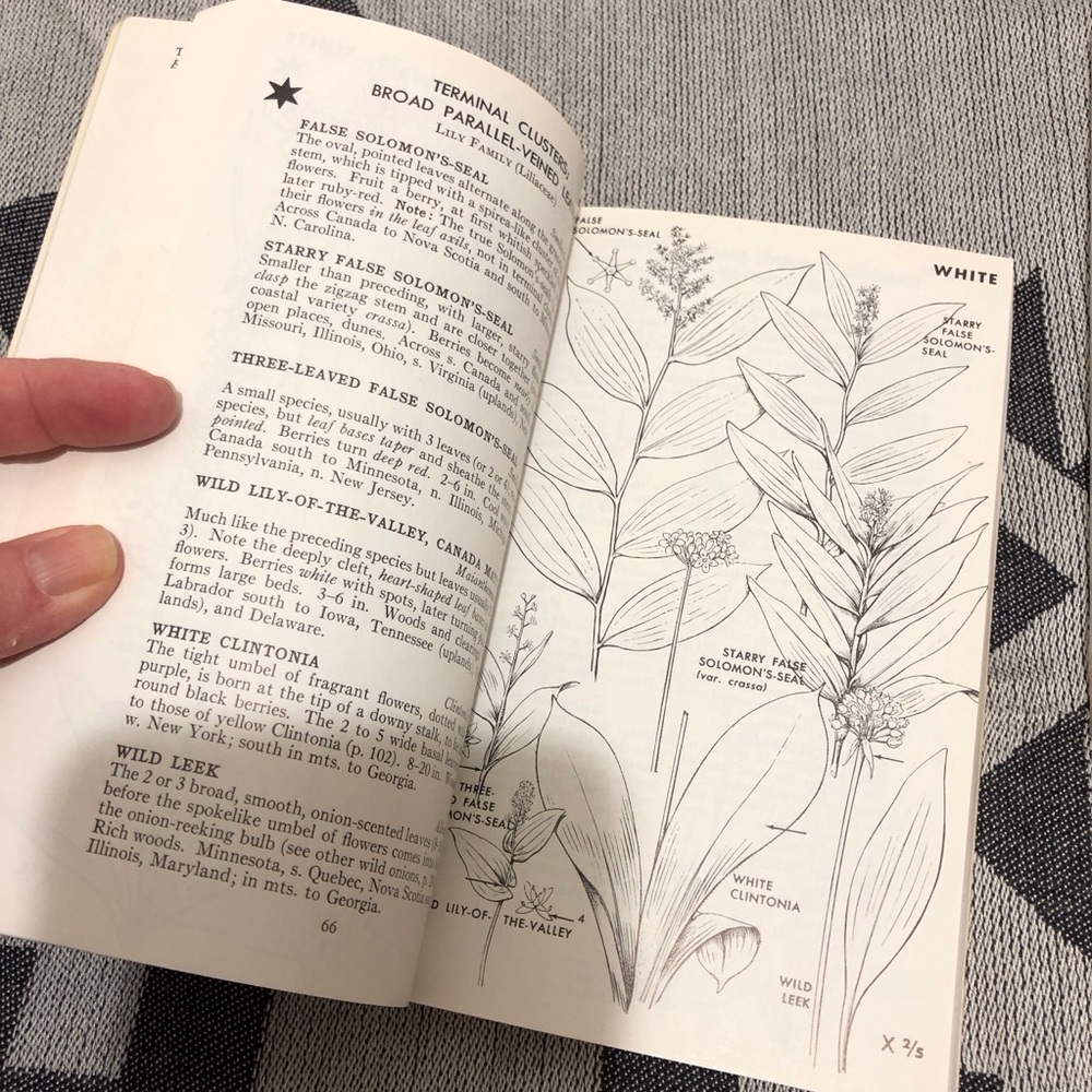 Peterson Field Guides: Wildflowers Book - Picture 4 of 6